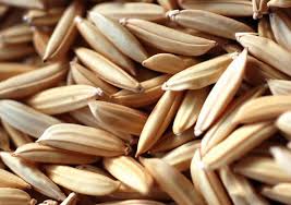 बीज उत्पाद